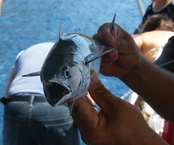 Fishing Trip from Sarigerme Dalaman