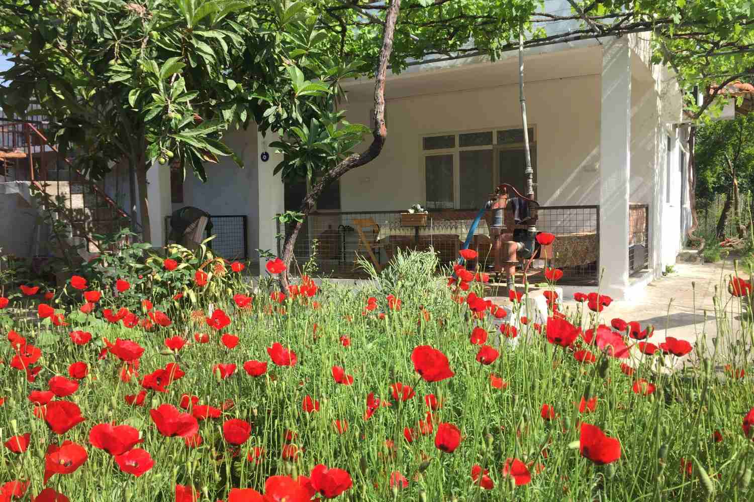 pottery classes art works courses in Koycegiz. Pick up from Hotels in Dalaman area including Sarigerme, Dalyan and Ortaca.