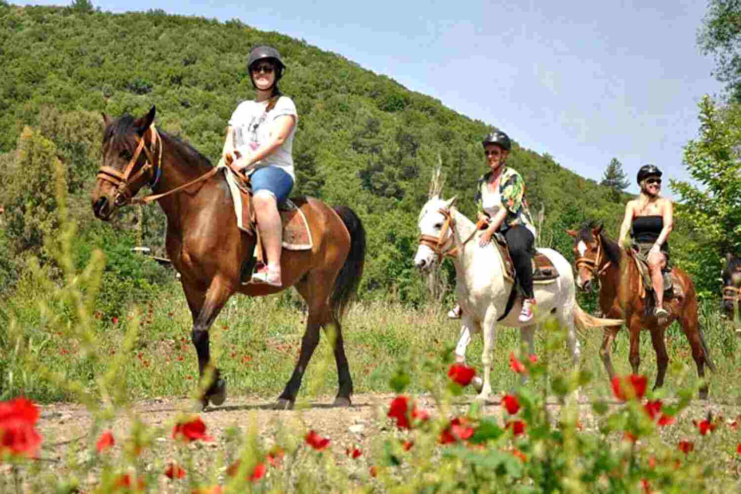Horse Riding, Trekking in Dalaman Sarigerme Turkey
